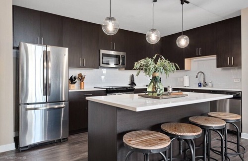 Rush and Division Apartment | Lake View Penthouse: Top Amenities, Unit Laundry