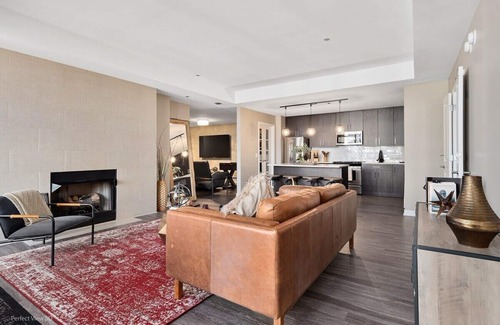 Rush and Division Apartment | Lake View Penthouse: Top Amenities, Unit Laundry