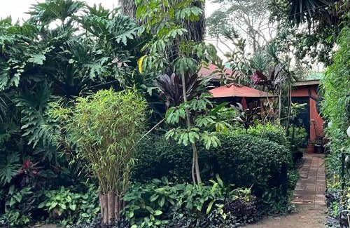 Nairobi House | Lake View Studios