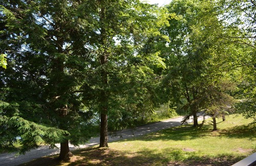 Grantham Condo | Lake Views! Beautifully furnished condo in Eastman NH