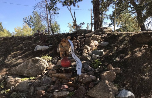 Florissant House | LAKE VIEWS! Comfy-Lux Mountain Chalet Family Get Away