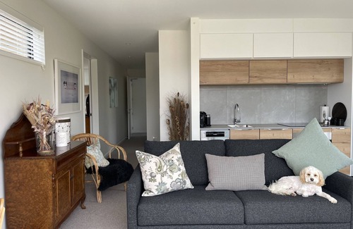Wanaka Apartment | Lake views - new apartment with room to relax