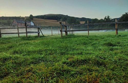 Llanwddyn Other | Lake Vyrnwy Campsite