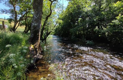 Llanwddyn Other | Lake Vyrnwy Campsite