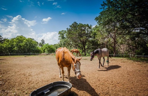 Lake Whitney Resort | Lake Whitney Camping Resort Cabin 1
