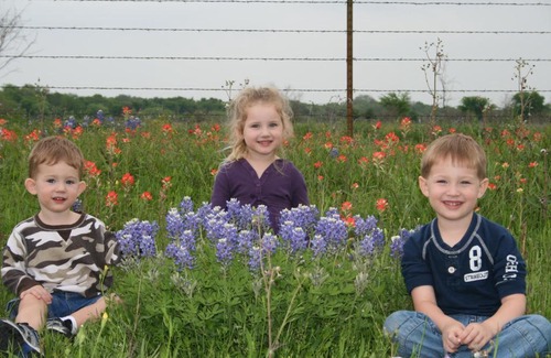 Lake Whitney Resort | Lake Whitney Camping Resort Cabin 1