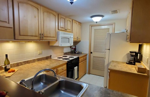 Palm Harbor Condo | Lakefront 1/BR Resort Condo with Stunning Golf Course & Lake View