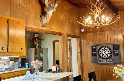 Douglas County Cabin | Lakefront Cabin in the Forestn ✨️ A Vacation Wonderland ✨️n n