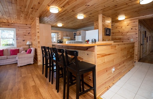 Cassopolis House | Lakefront Cedar Lodge Sandy Beach + Wheelchair Friendly + 47 Wooded Acres!