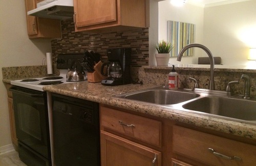 Bucktown Apartment | Lakefront Comfort #2