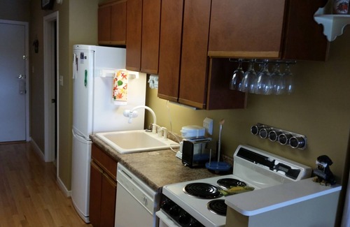 North Shore Condo | Lakefront Condo Smith Mountain Lake