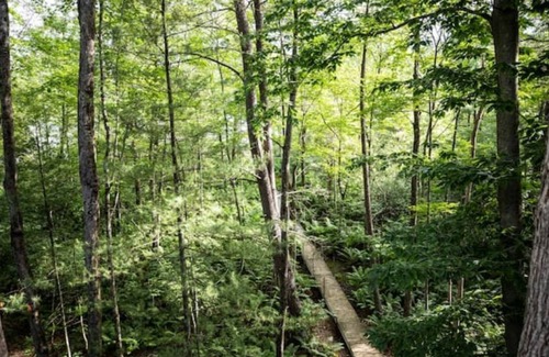 Bitely Cabin | Lakefront cottage for all things Pure Michigan!