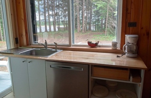 Remsen Cottage | Lakefront Deer Lodge
