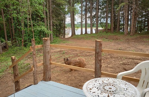 Remsen Cottage | Lakefront Deer Lodge