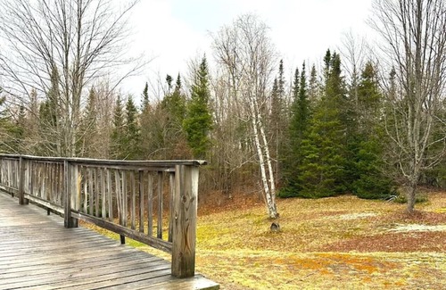 Indian Lake Cabin | Lakefront-Family & Pet Friendly-Adirondack Cabin