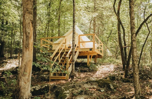 Mooresburg Resort | Lakefront Glamping Resort Cherokee Lake Tennessee Site 2