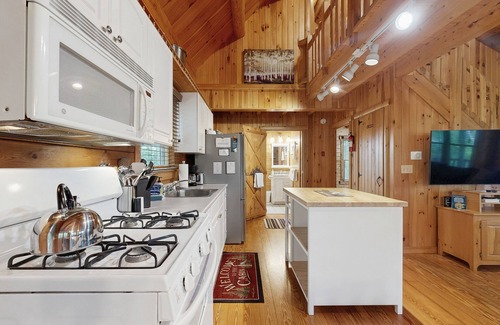 Greenville House | Lakefront home with private dock, canoe & kayak, fast WiFi, and firepit - dog OK