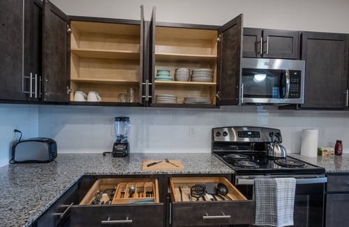 Lewisville Apartment | Lakefront Luxury King 1BR