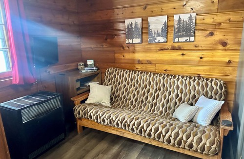 Gaylord Cabin | LAKEFRONT MINI CABIN private acre of Woods 🏞️