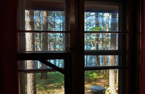Gaylord Cabin | LAKEFRONT MINI CABIN private acre of Woods 🏞️