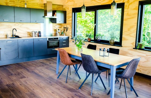 Grou Cabin | Lakefront Nature House in Friesland: Goudûle
