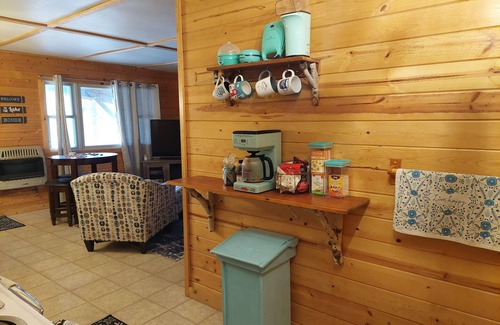 Reed City Cabin | Lakefront Oasis GameRm/Sauna/Fire-pit/DogFriendly/Fishing