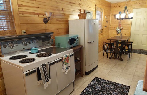 Reed City Cabin | Lakefront Oasis GameRm/Sauna/Fire-pit/DogFriendly/Fishing