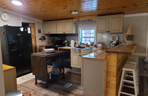 Blairsville House | Lakefront on Nottely:Family retreat & single level with covered boat slip.