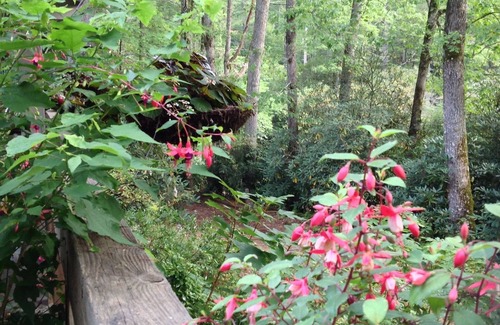 Lake Toxaway House | Lakefront,perfect for nature lovers and gardeners ,outdoor enthusiast & downtime