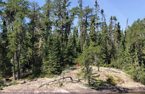 Perrault Falls Cottage | Lakehouse105 cottage
