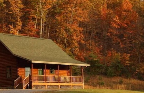 Luray Cabin | Lakeland Cabin