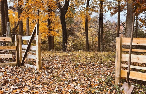 Burlington Cottage | Lakeside Artist Retreat minutes from Elon U, Gboro & RDU! Pvt beach, deck & more
