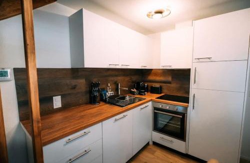 Boenigen Apartment | Lakeside Barn Apartment near Interlaken