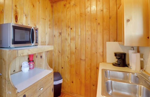 Lakeside Cabin | Lakeside Cabin w/Beach ~ 14 Mi to Ski Area!