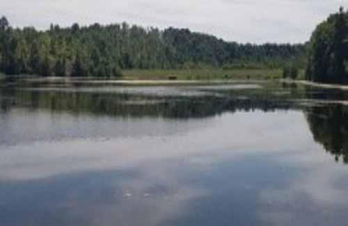 Crofton Cottage | Lakeside Cottage, Fishing, Canoe & Kayak, Pet Friendly, Golf and Hiking Nearby
