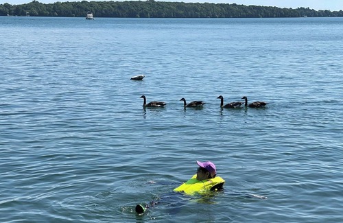 Ramara Cottage | Lakeside cottage with panoramic view, 80 minutes from Toronto