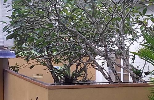 Bandaragama Villa | Lakeside Hybrid Villa
