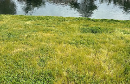 Chowchilla House | Lakeside Oasis Private 1 Bedroom 1 Bath near Yosemite