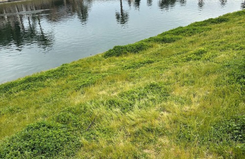 Chowchilla House | Lakeside Oasis Private 1 Bedroom 1 Bath near Yosemite