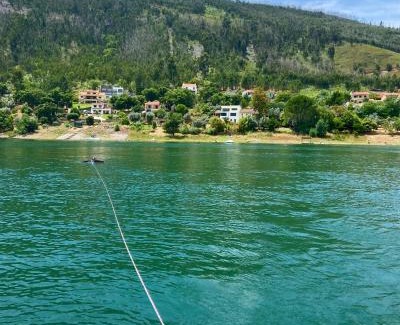 Ferreira do Zezere House | Lakeside Rest