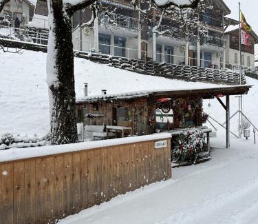 Niederried bei Interlaken Apartment | LakeSide Villa - 18