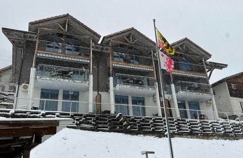 Niederried bei Interlaken Apartment | LakeSide Villa - 18