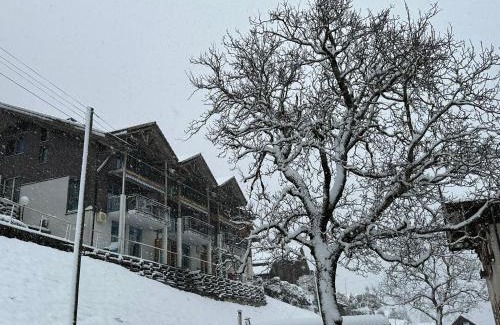 Niederried bei Interlaken Apartment | LakeSide Villa - 18