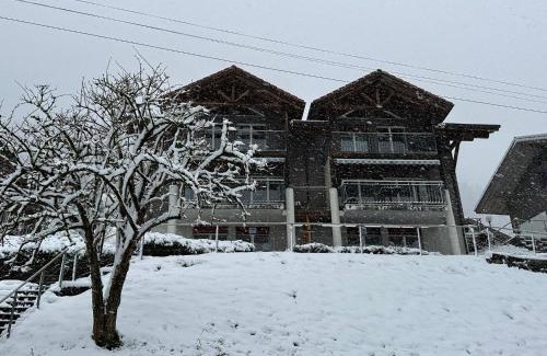 Niederried bei Interlaken Apartment | LakeSide Villa - 18