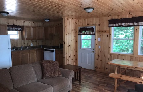 Lac du Flambeau Cabin | Lakeside, Wisconsin Northwoods cabin with private dock. Pet friendly