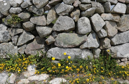 Wild Atlantic Way Cottage | LAKEVIEW, family friendly in Lettermore, County Galway