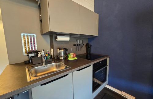 Faulensee Apartment | Lakeview Loft*Lake/Ferry access* Central