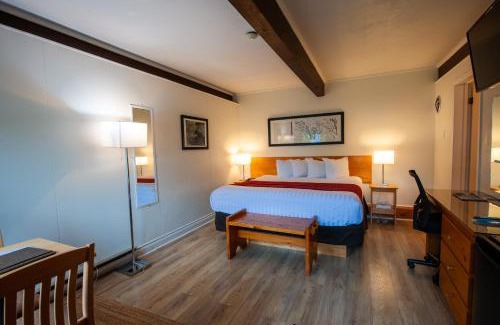 Haliburton Hotel | Lakeview Motel