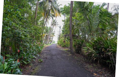 Cherthala Apartment | Lakeview Outhouse