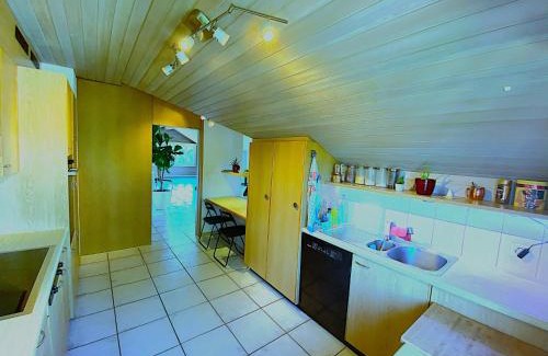 Sempach Apartment | LakeVIEW Penthouse in the heart of Switzerland
